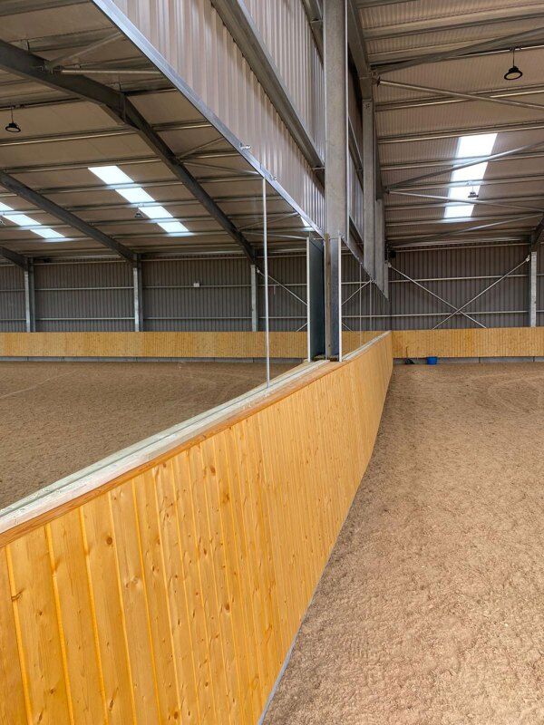 Arena Mirrors Smart Equine